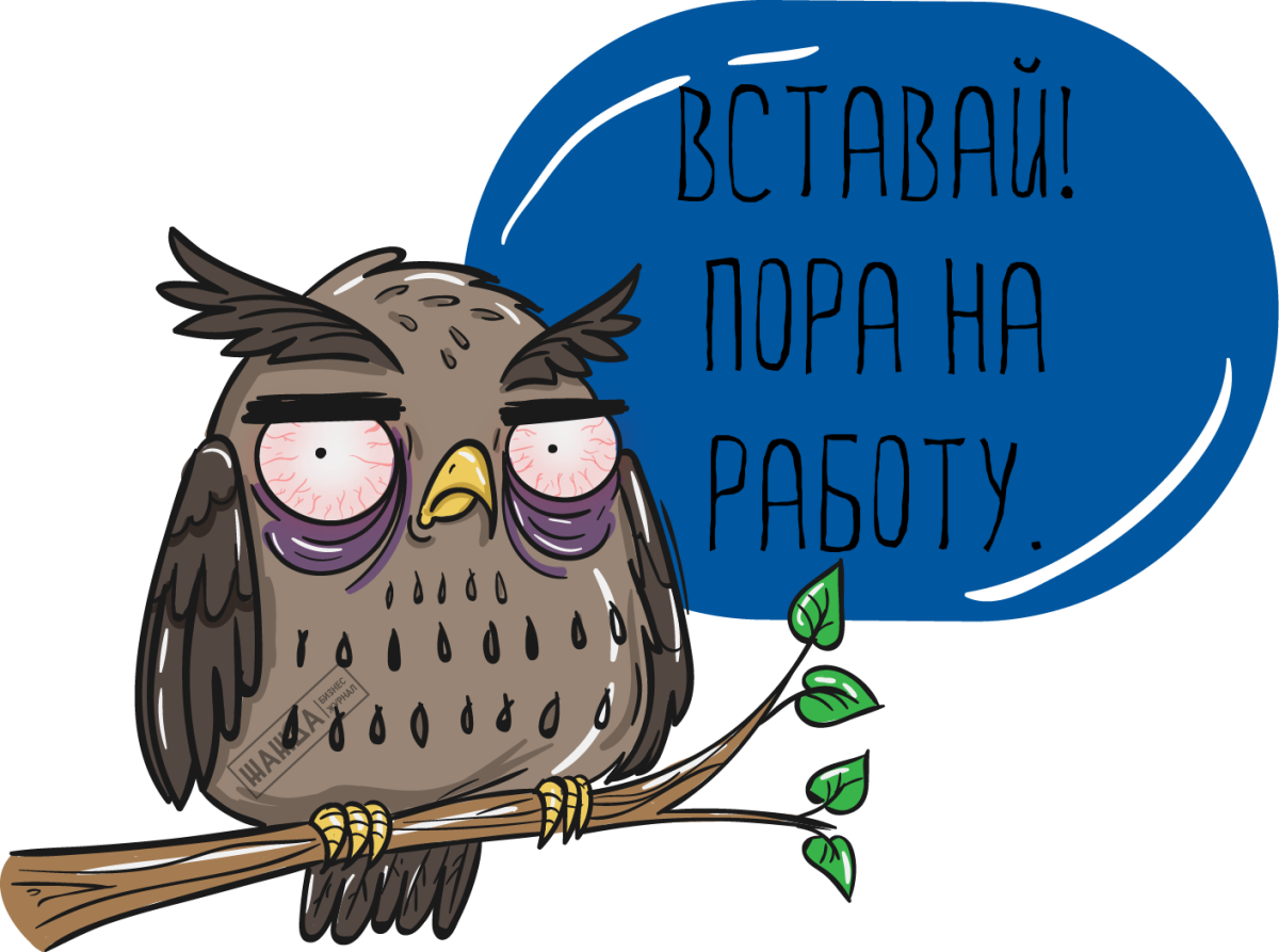 Сова понедельник