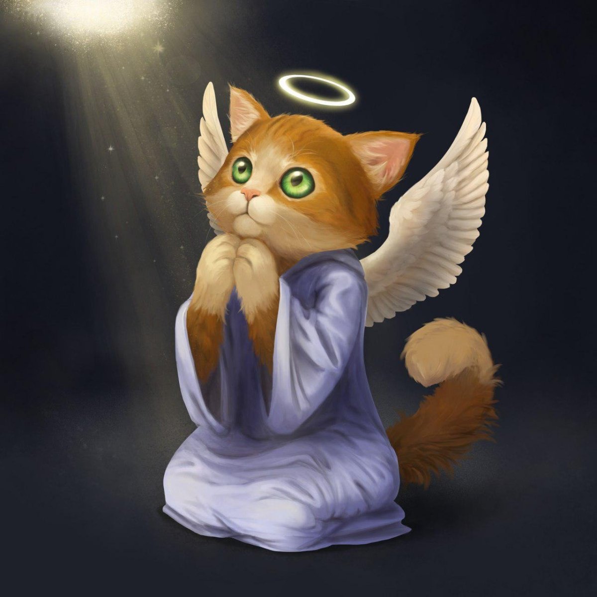 Кот Купидон