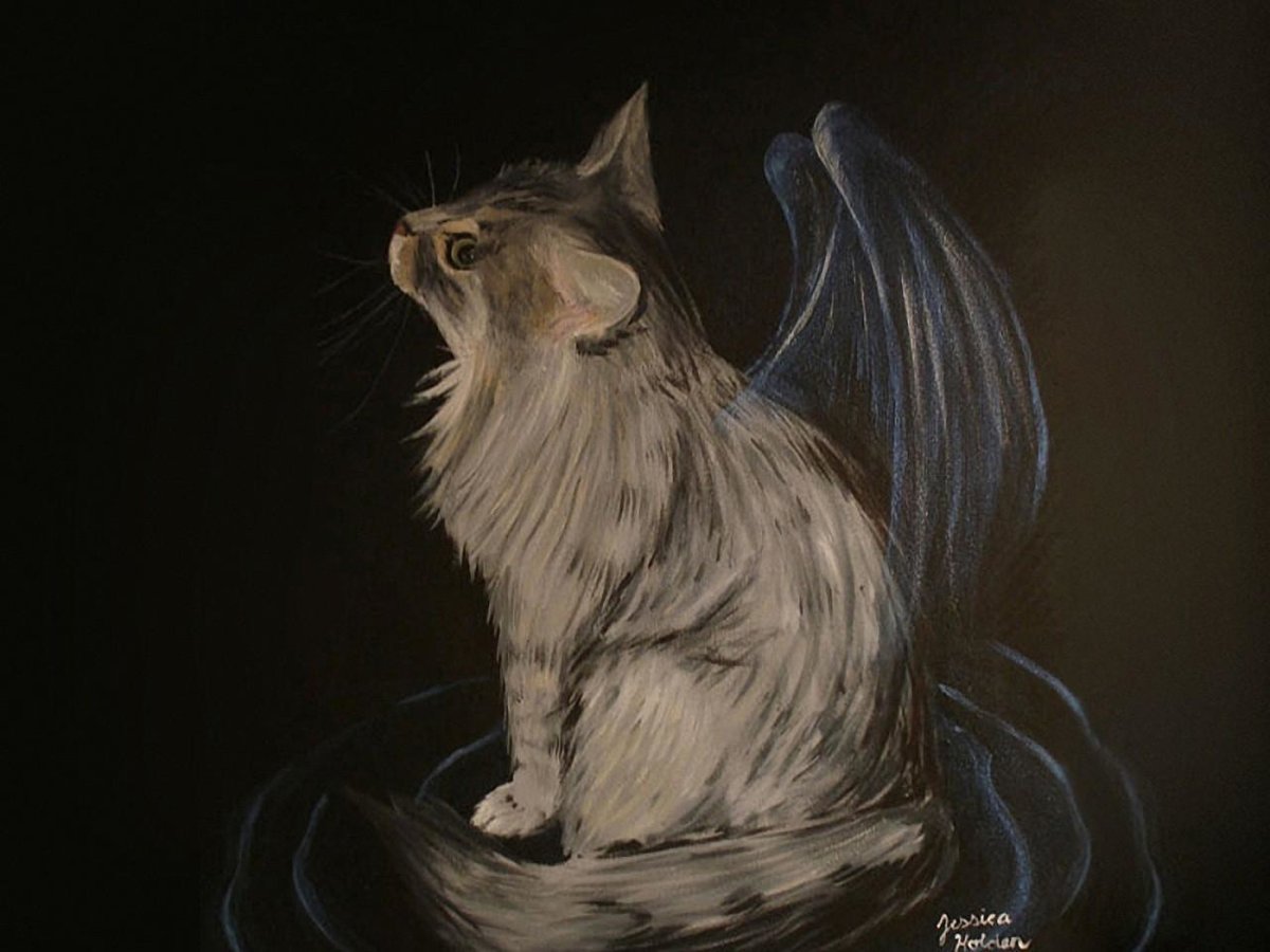 Ангельские котики Эстетика