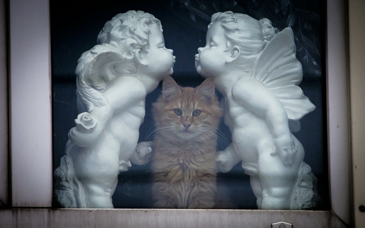 Лев с крыльями