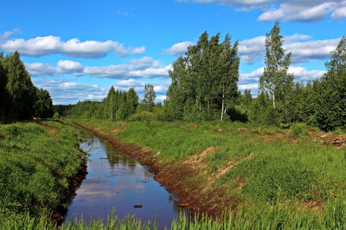 Канава Нушполка Талдомский район