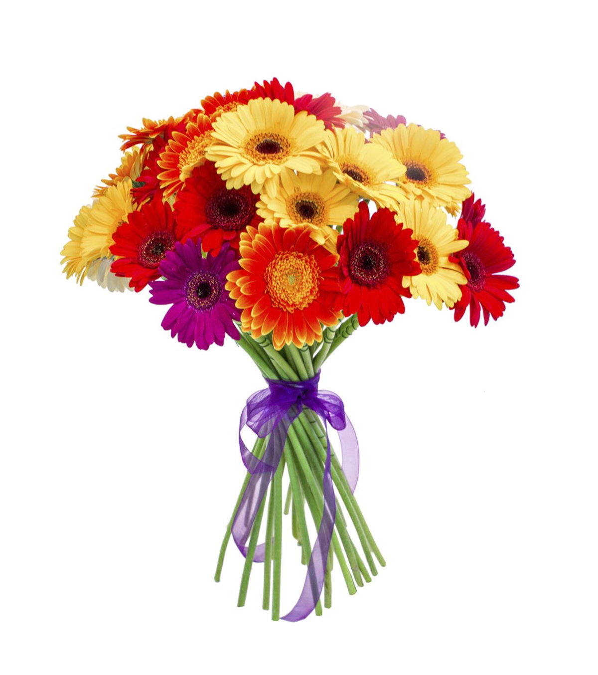 Букет 25 гербер микс