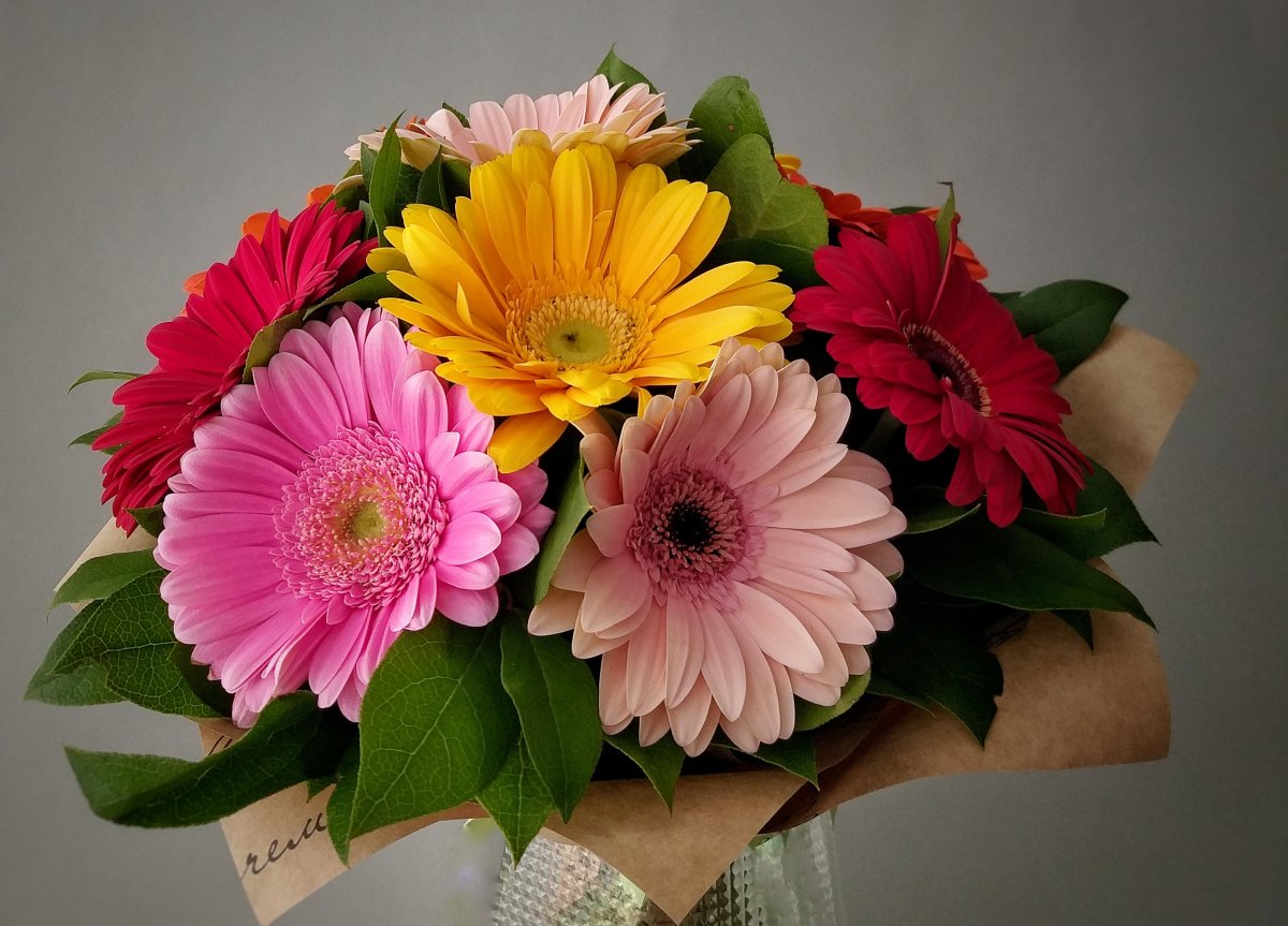 Герберы букет