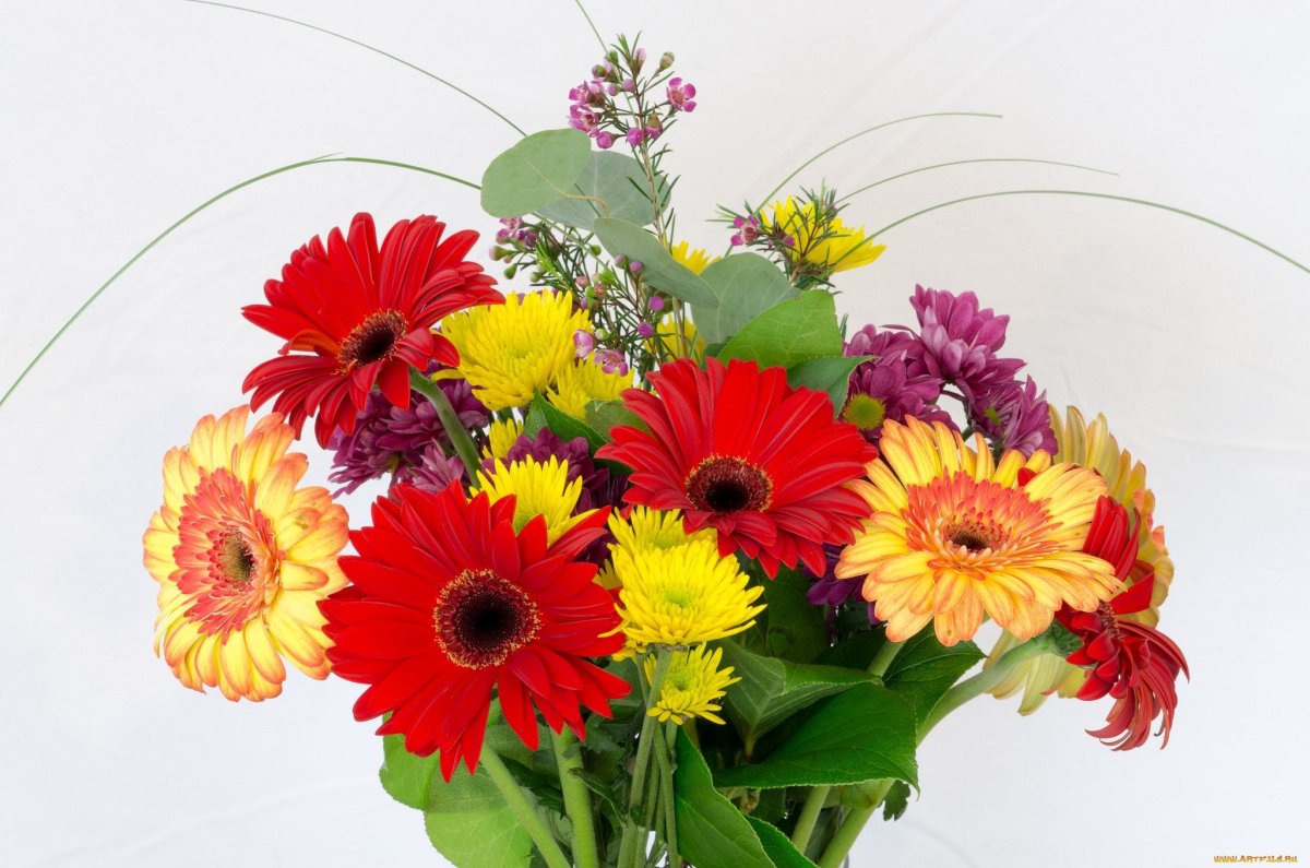 Букет "герберы и ромашки"
