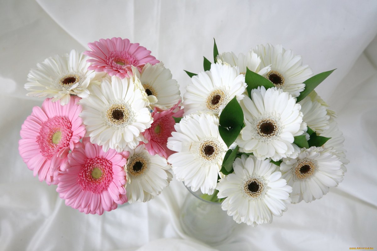 Букет "герберы и ромашки"