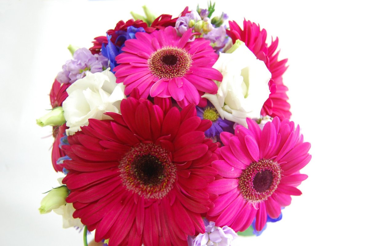 Букет "герберы и лилии"