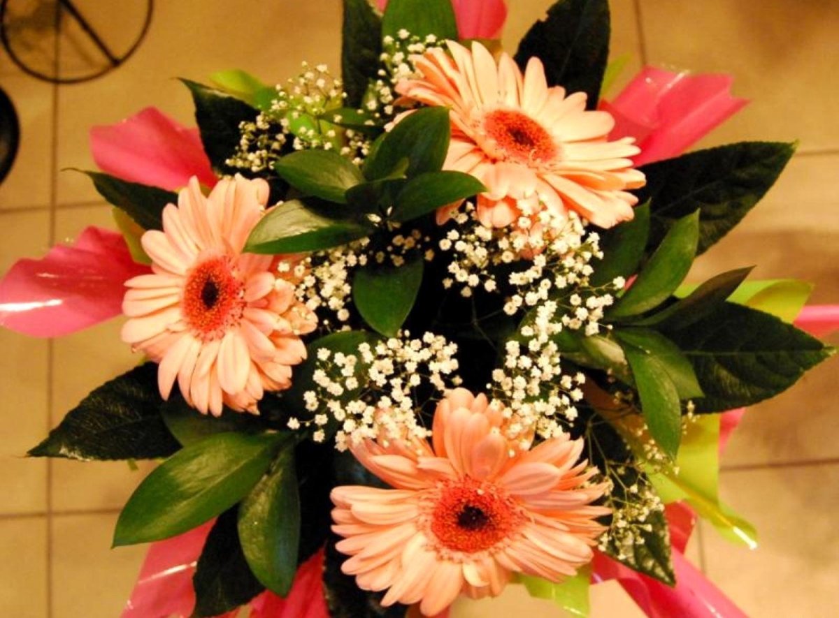 Букет "герберы и гипсофилы"