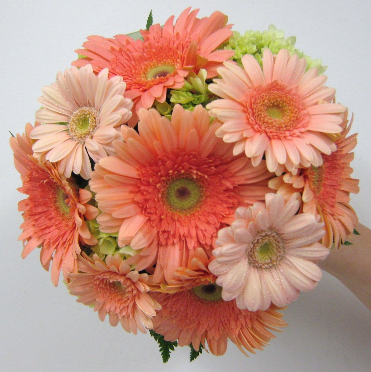 Букет с гермини