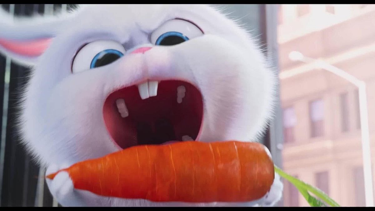 Тайная жизнь домашних животных кролик