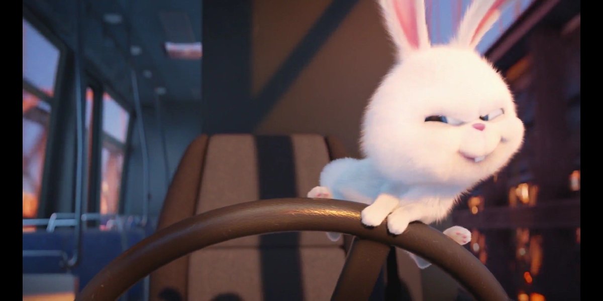 Тайная жизнь домашних кролик снежок