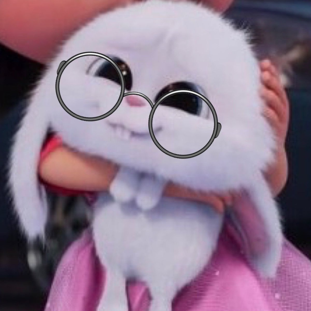 Кролик из мультика Тайная жизнь