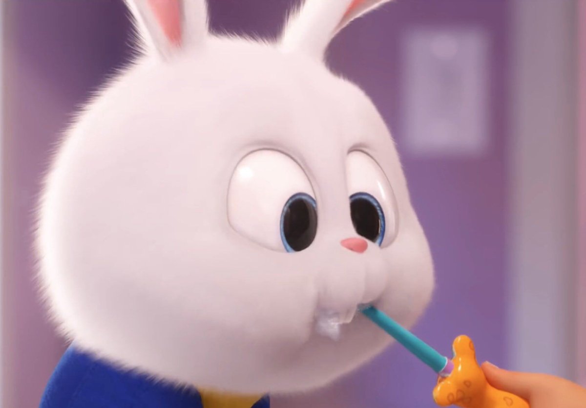 Кролик из Тайная жизнь домашних животных гиф