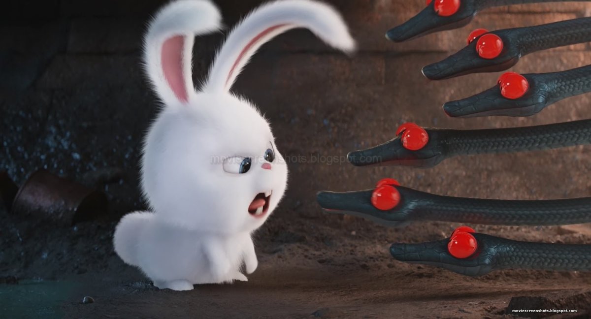 Кролик снежок Тайная жизнь домашних животных 1