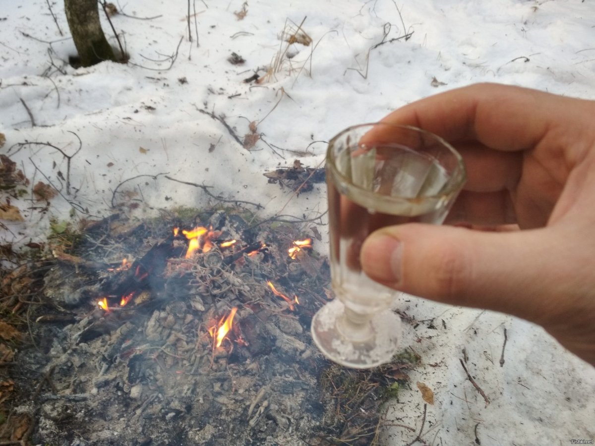 Нежные зимние натюрморты