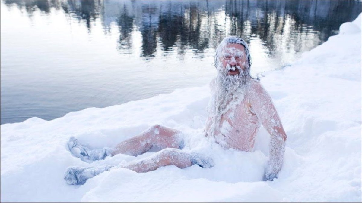 Смешные Снеговики