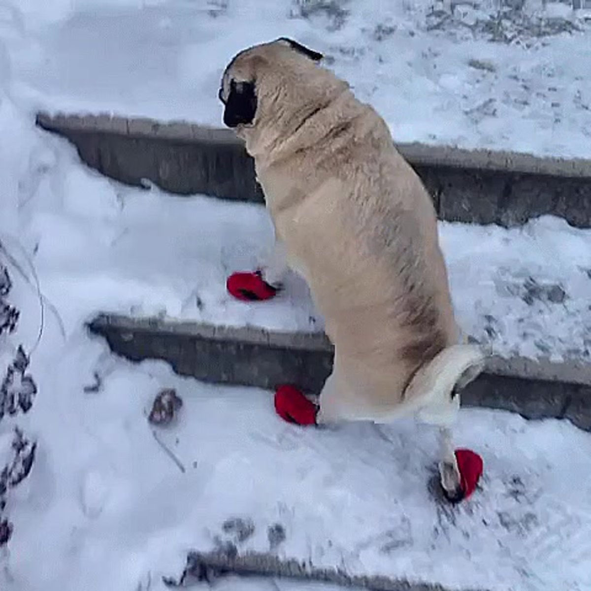 Замерз прикол