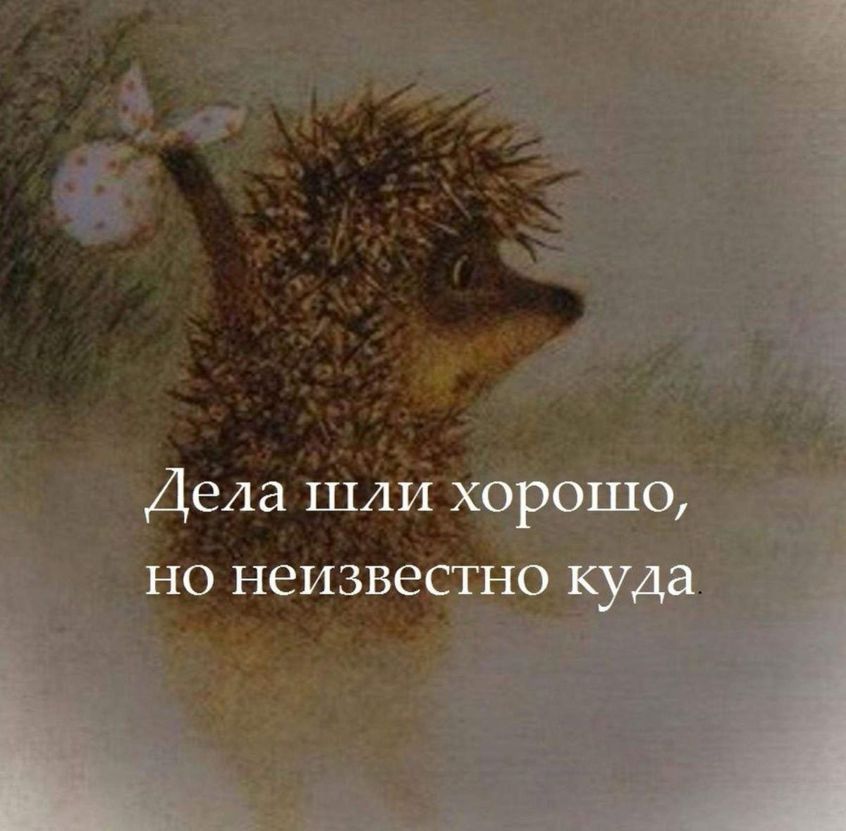 Ежик в шляпе