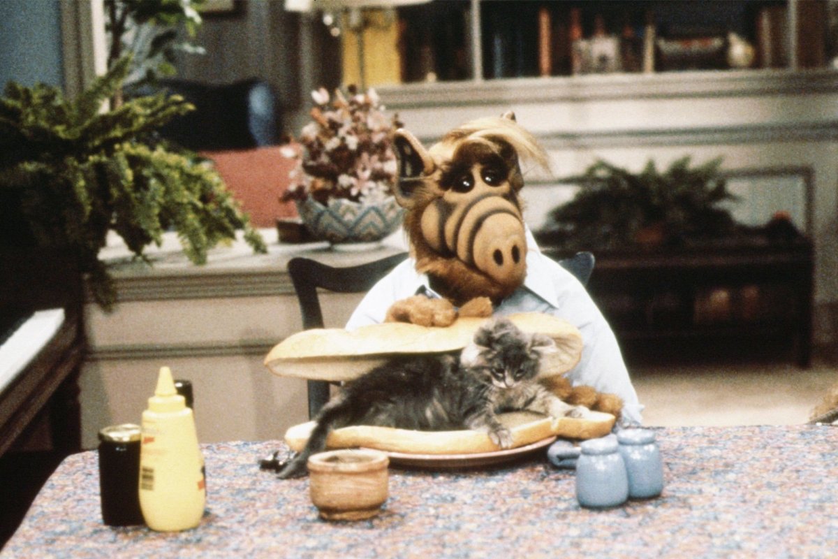 Сериал Альф и кот