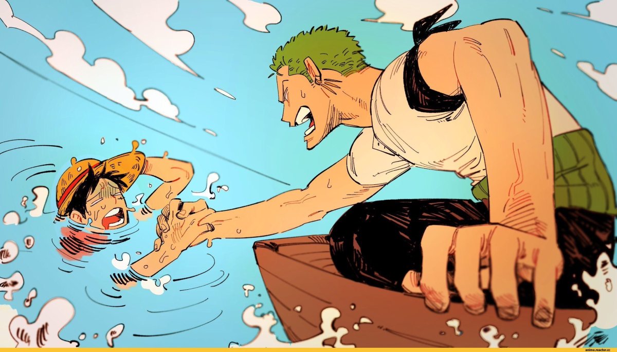 Ван Пис братья