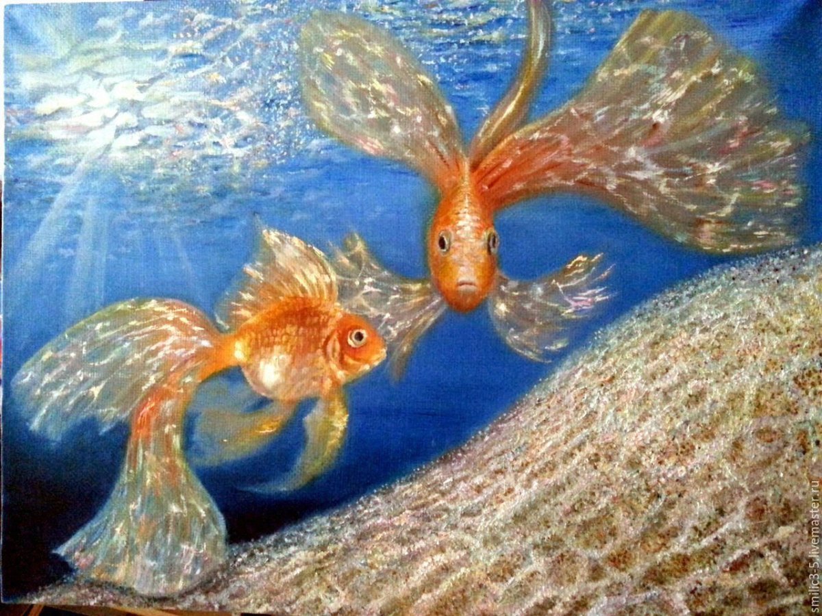 Золотая рыбка Чамова
