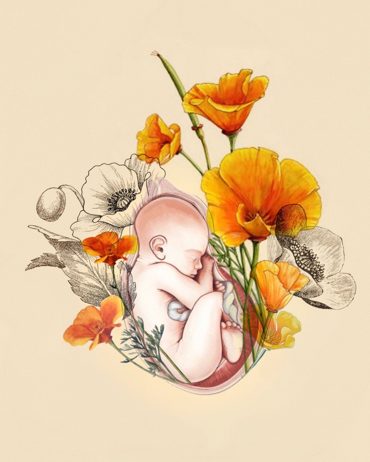 Живопись младенец в утробе