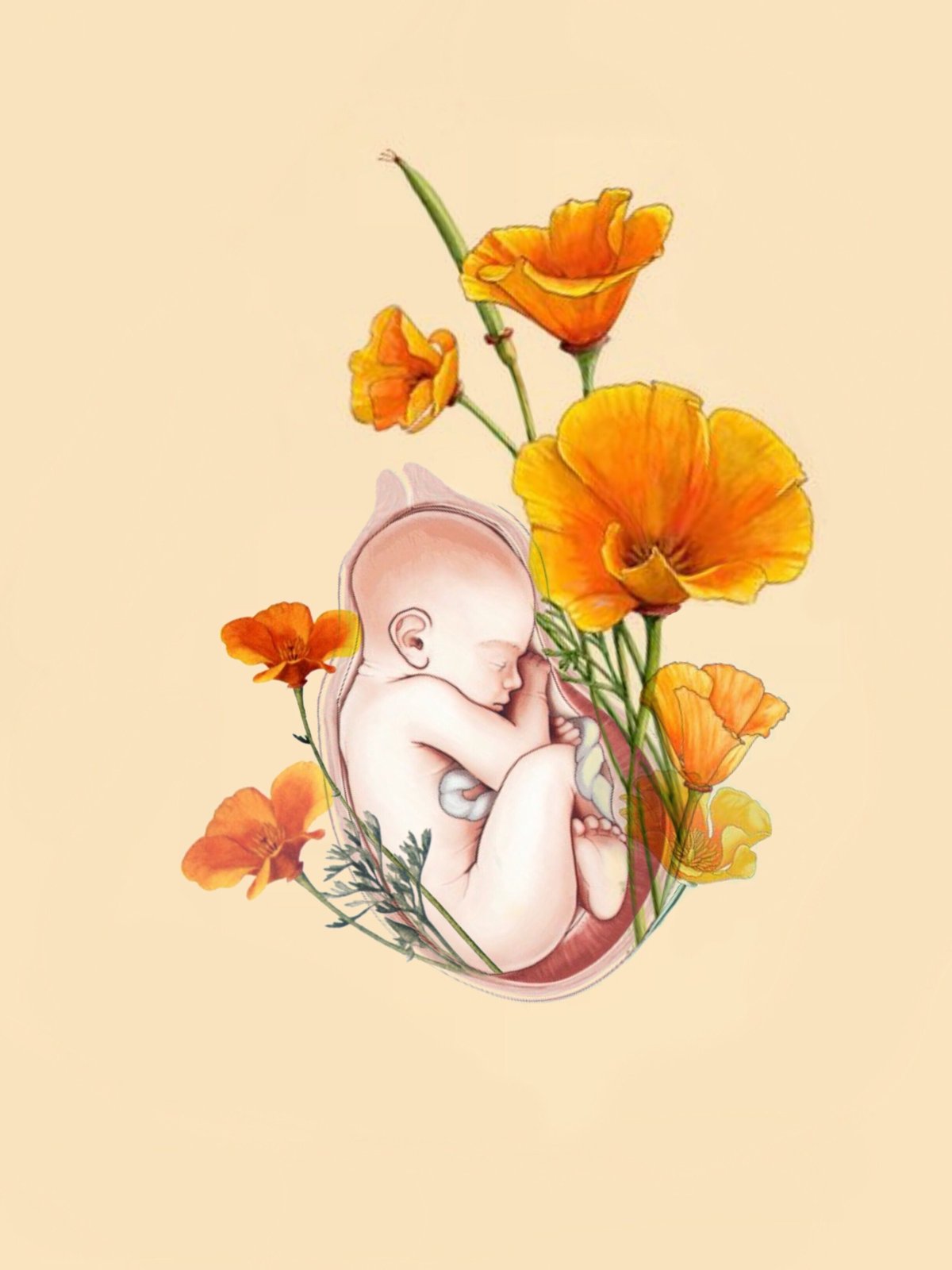 Акварельные иллюстрации беременная