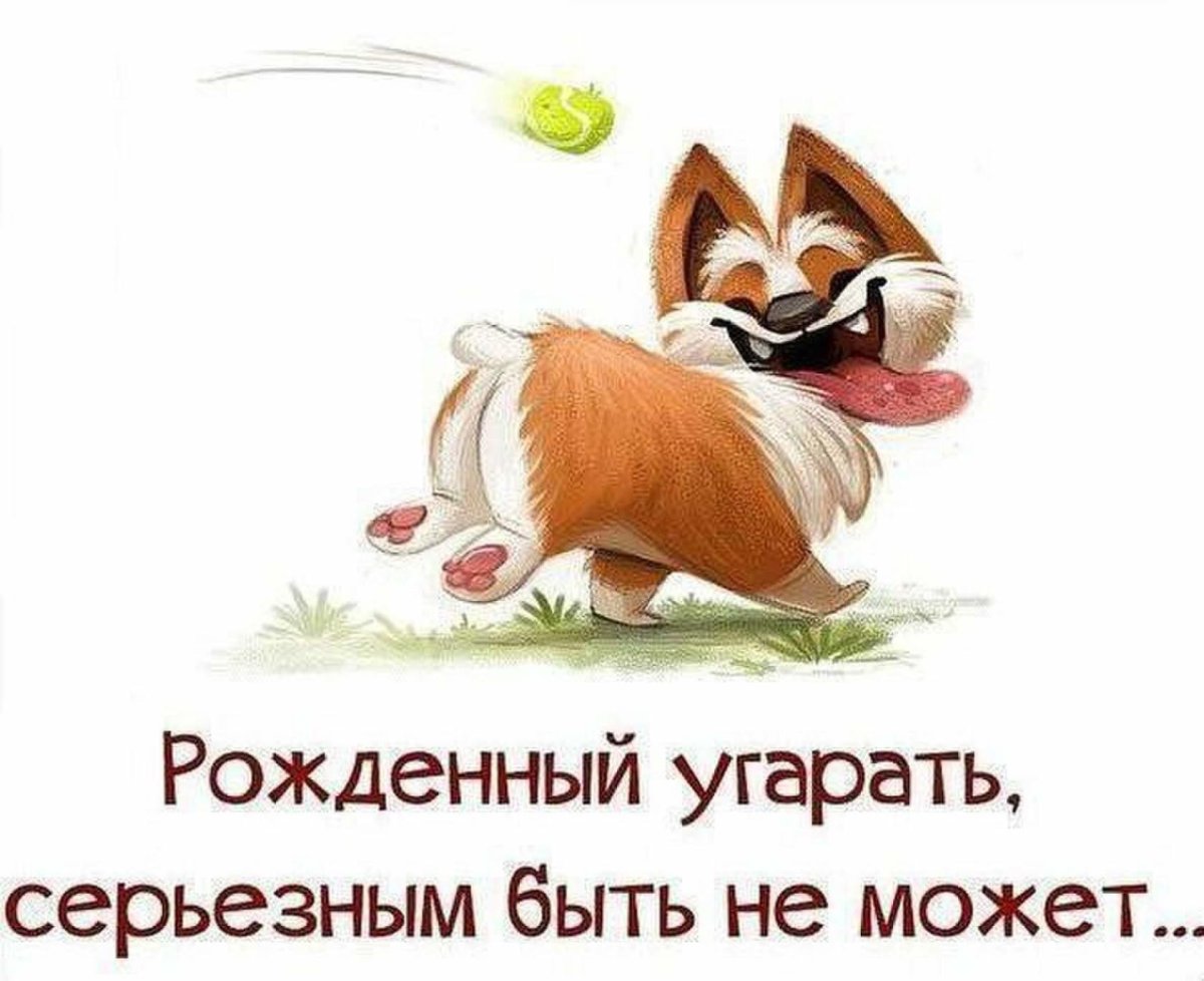 Цитаты про спокойствие смешные