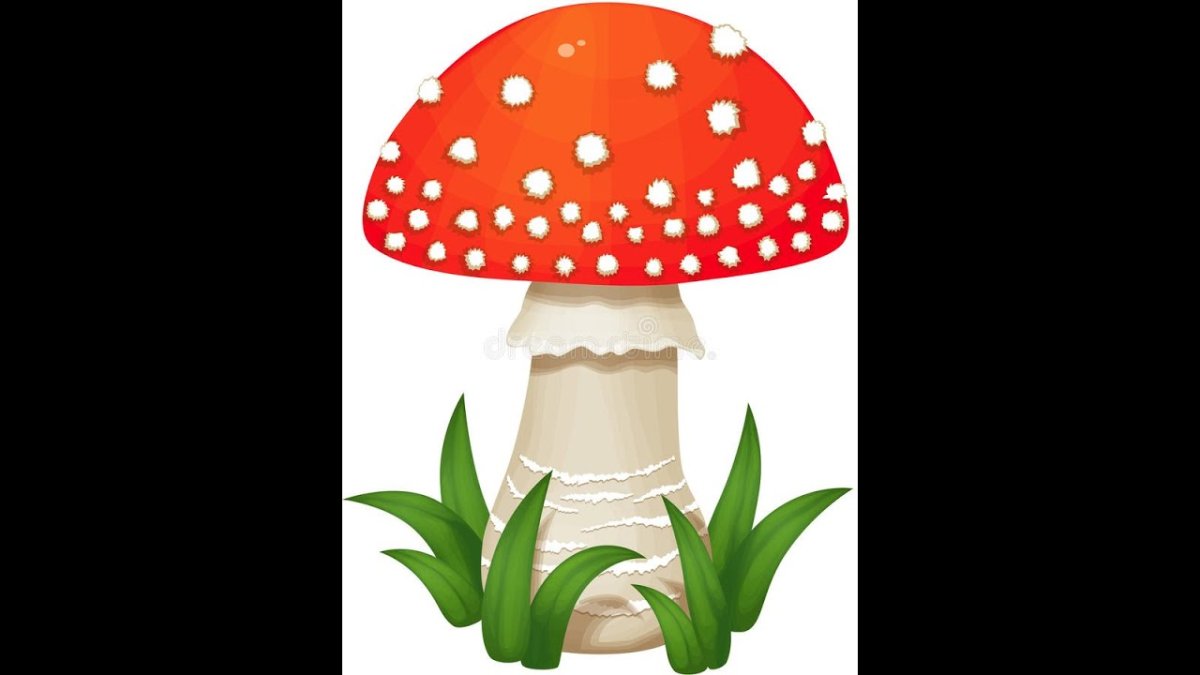 Мухомор на белом фоне для детей