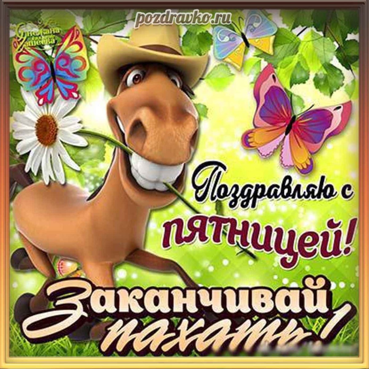 Удачного дня юмор