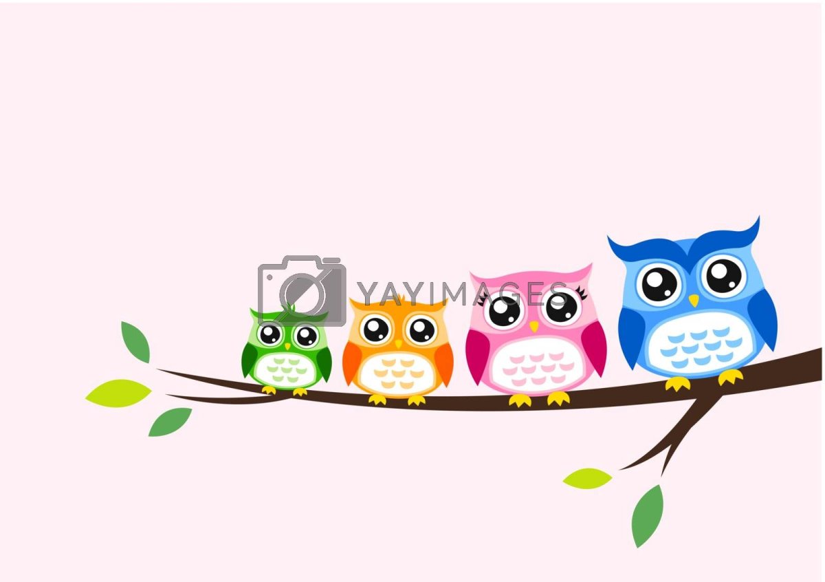 Совята на ветке вектор