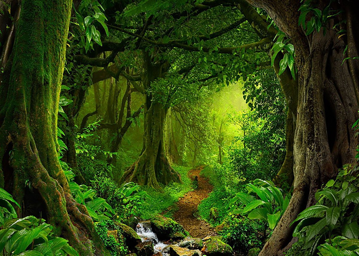 Сказочные джунгли