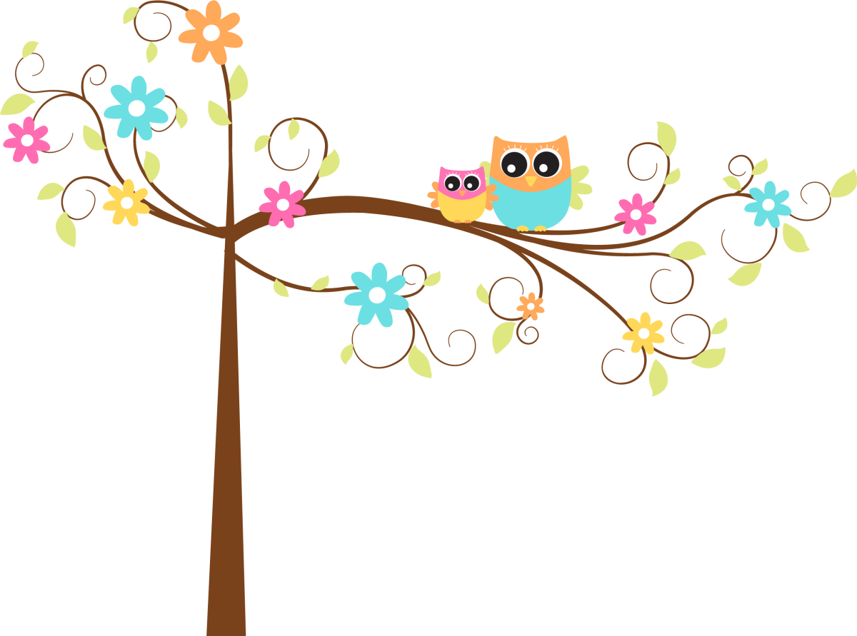 Совушки на ветке на прозрачном фоне