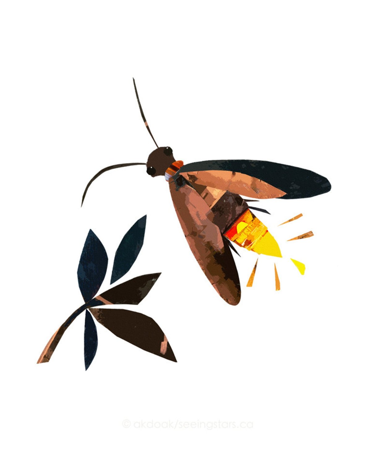 Светлячок Графика