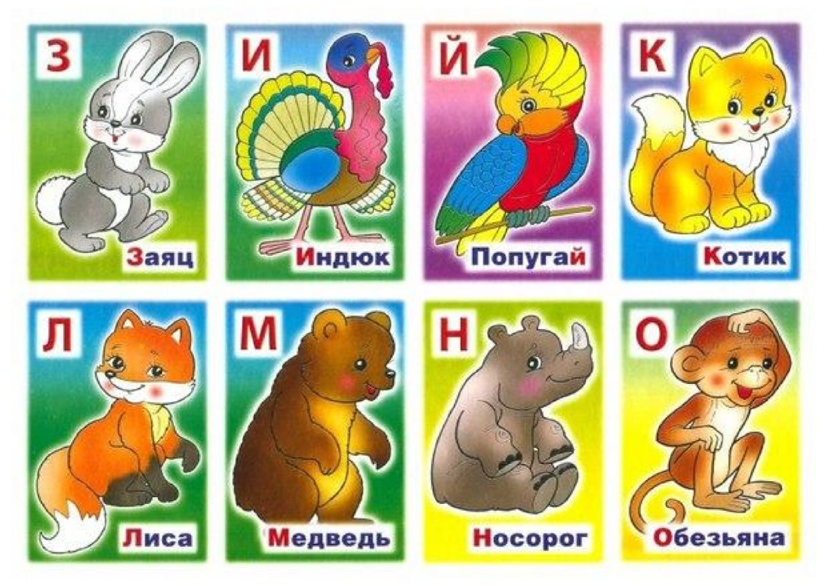 Азбука животных