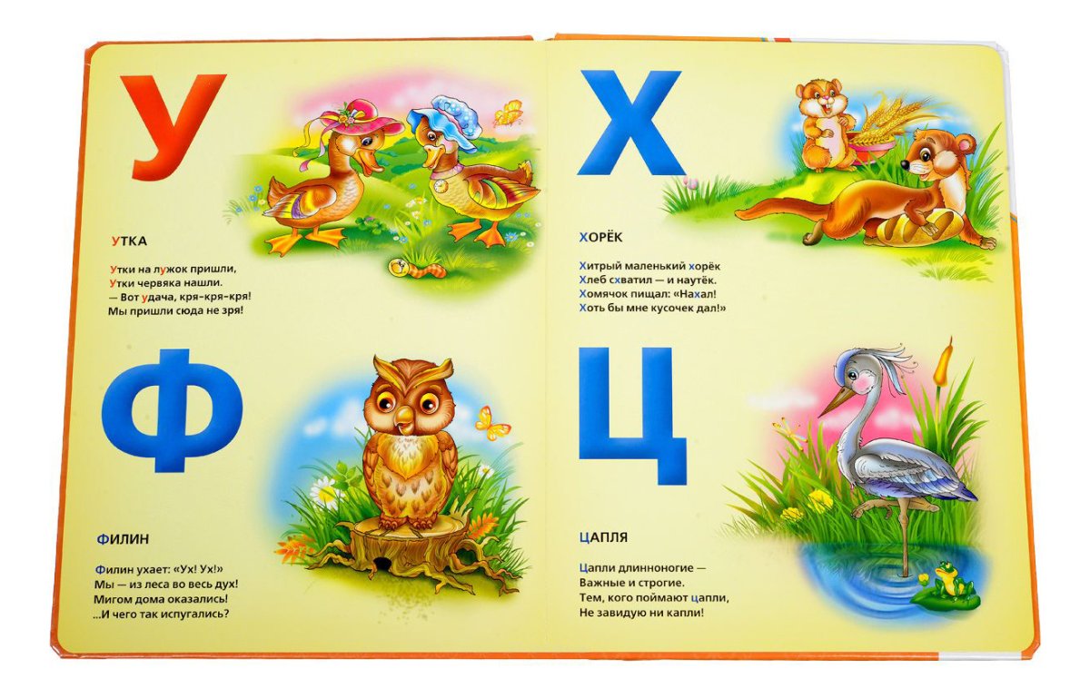 Алфавит зоопарк