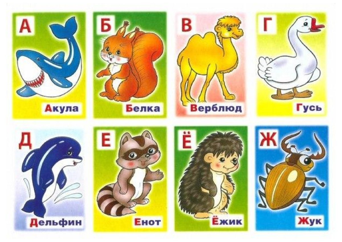 Рисунок Азбука животных
