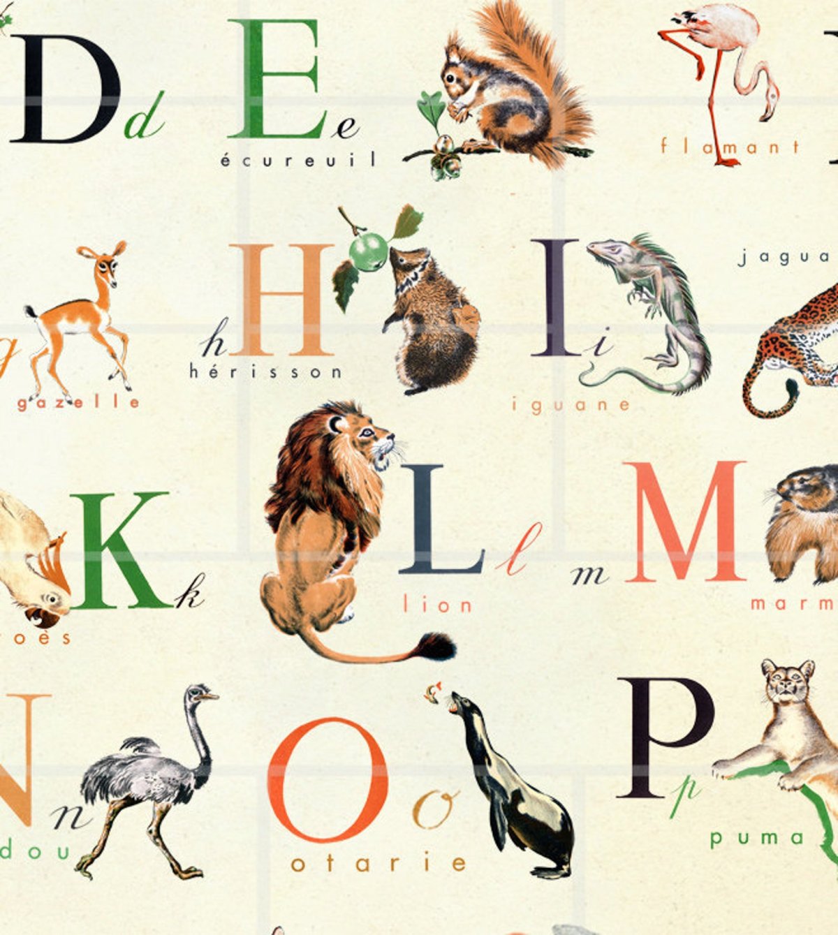 Раскраска алфавит