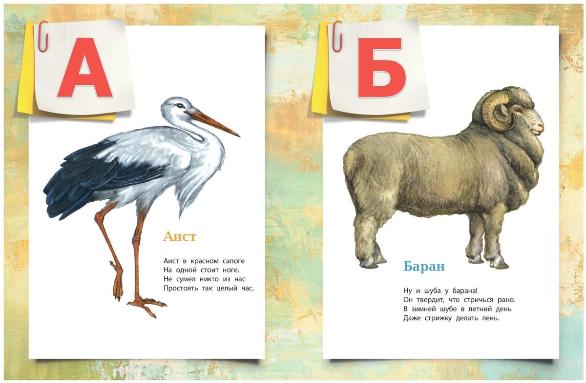 Животные на английском по алфавиту