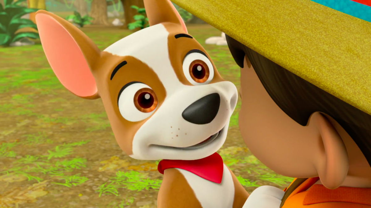 Трекер Щенячий патруль