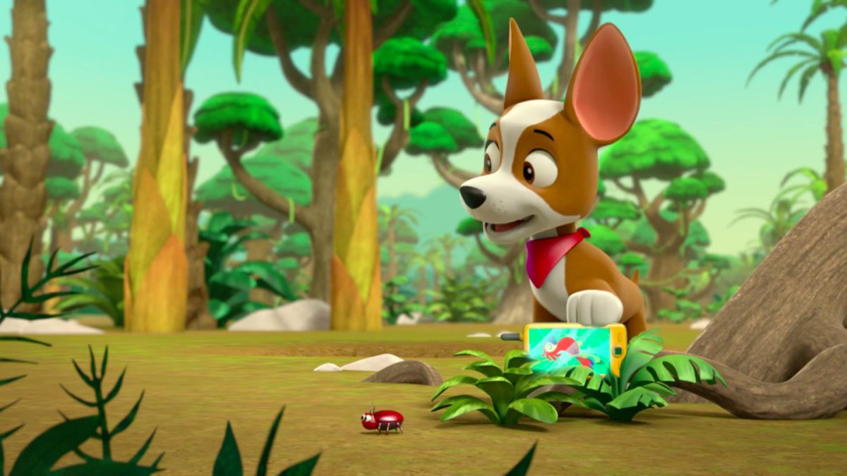 Щенячий патруль чихуахуа