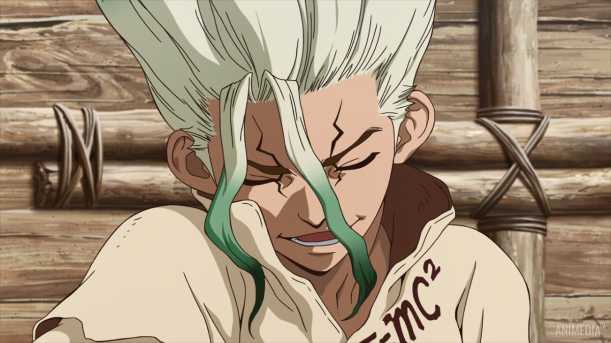 Аниме доктор Стоун сенку