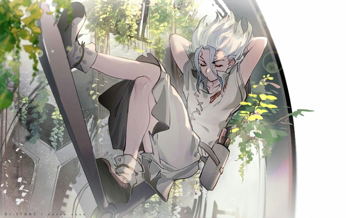 Сенкоу доктор Стоун