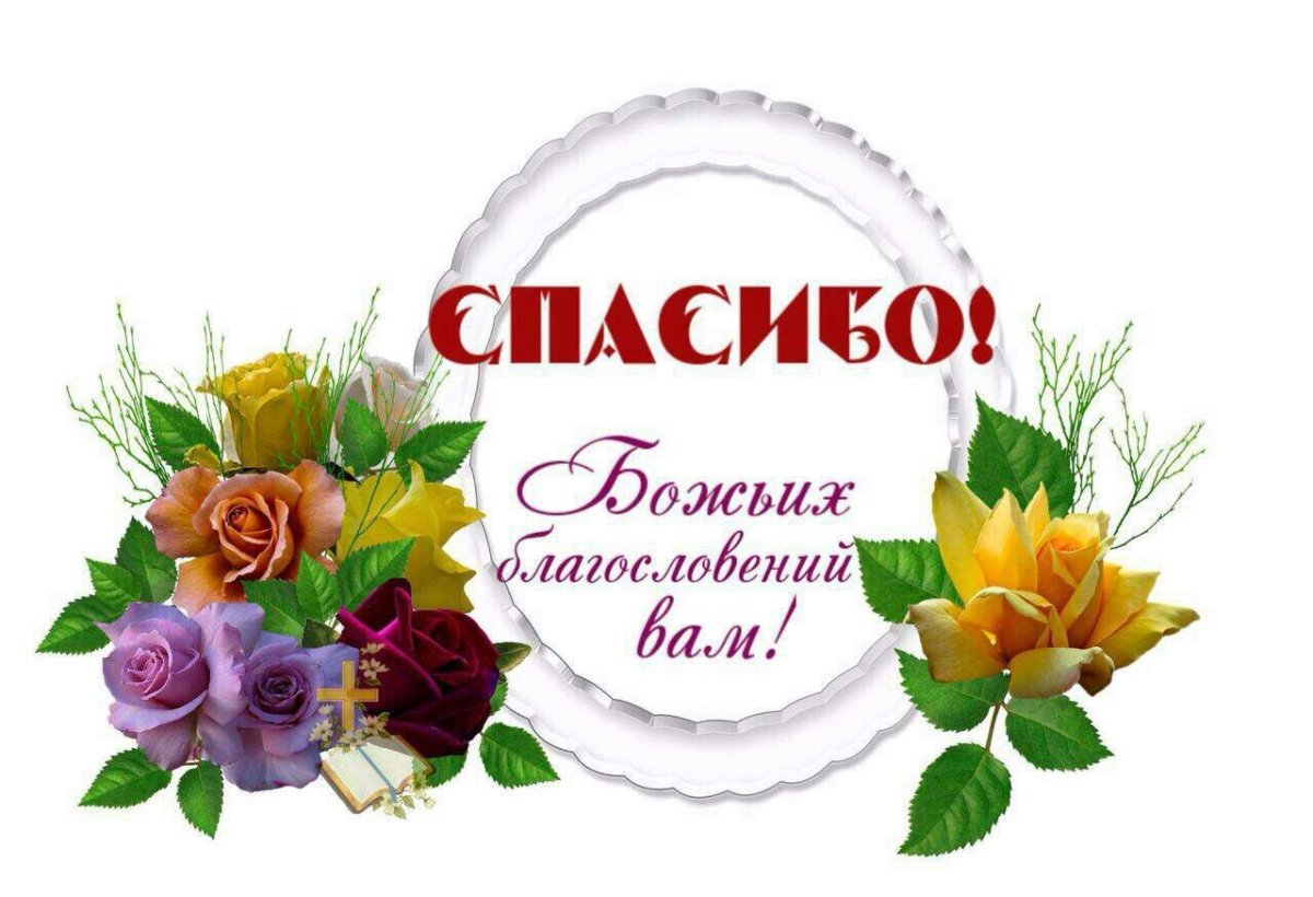 Спасибо Зиночка открытка