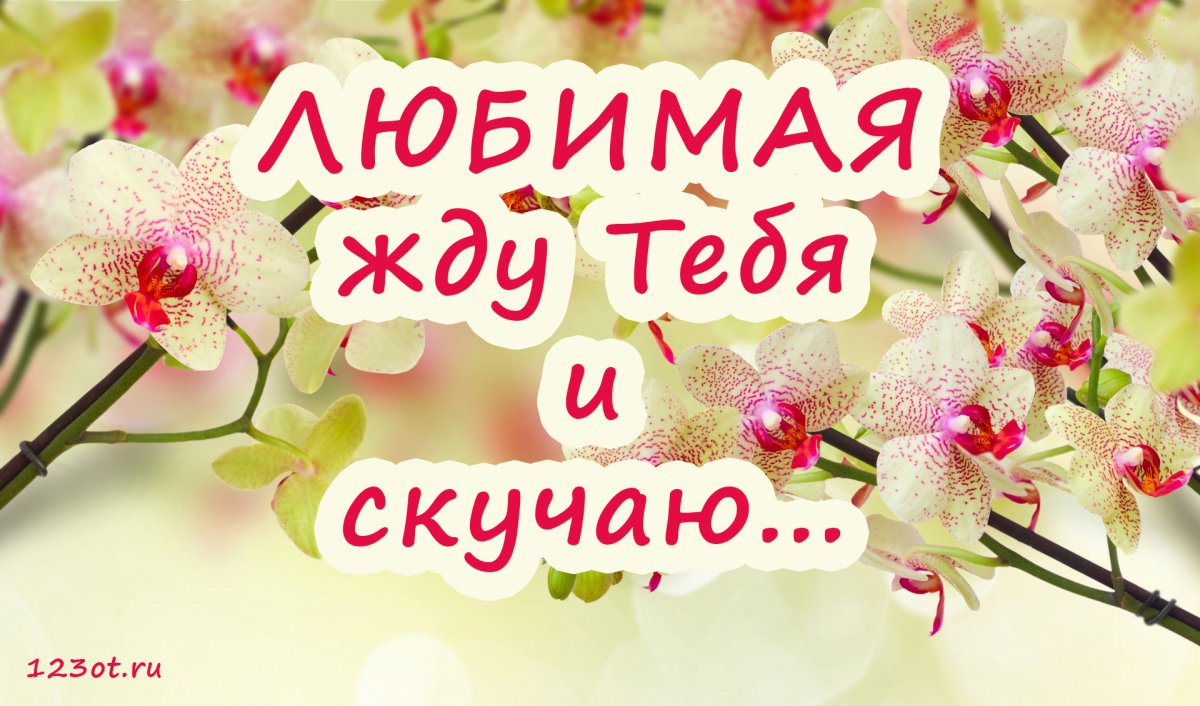 Гиф ты мне нужен любимый