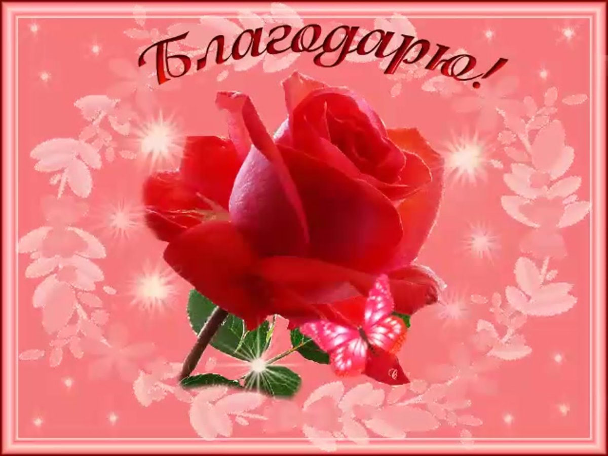 Спасибо солнышко