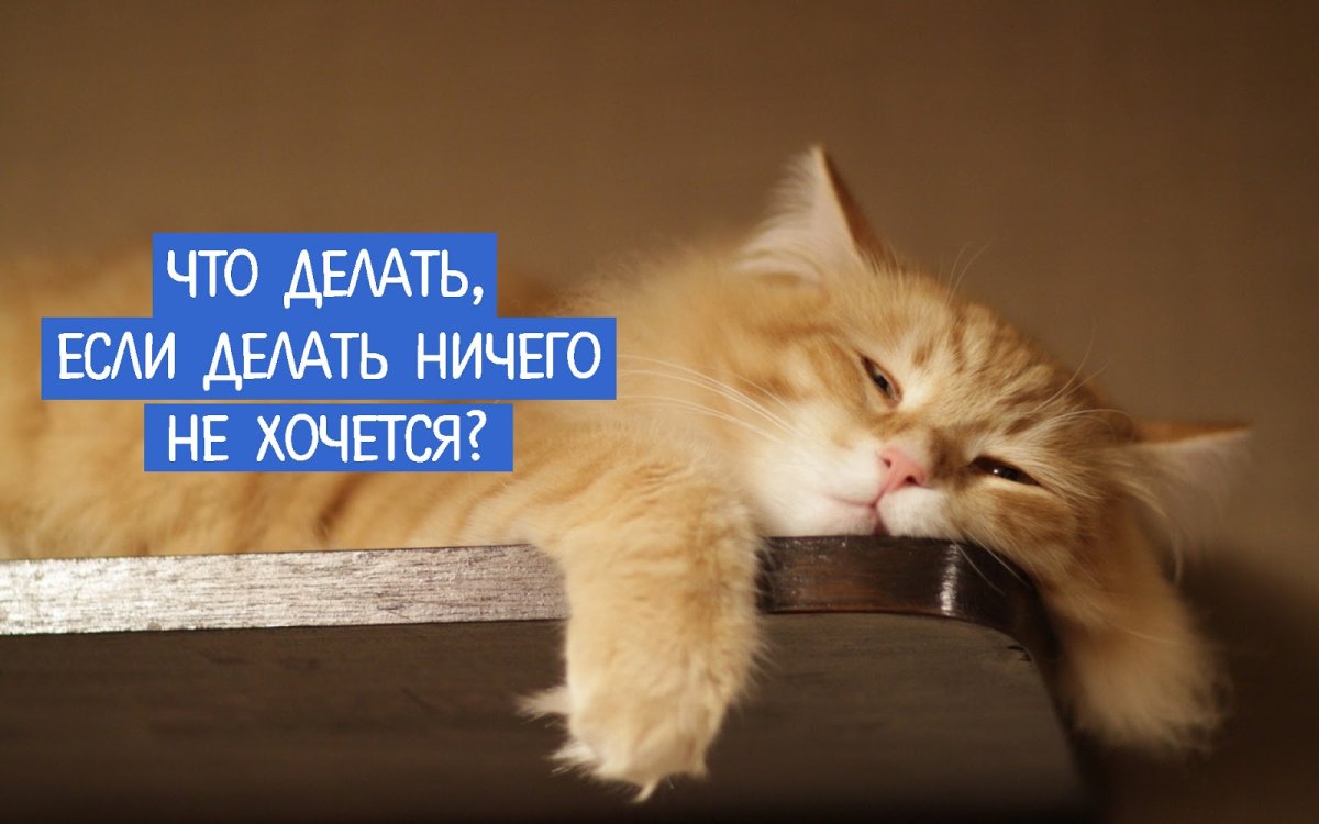 Ничего не хочется делать