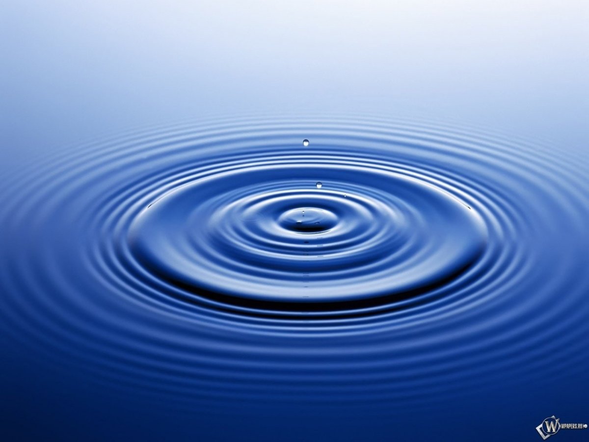 Круги на воде вид сверху