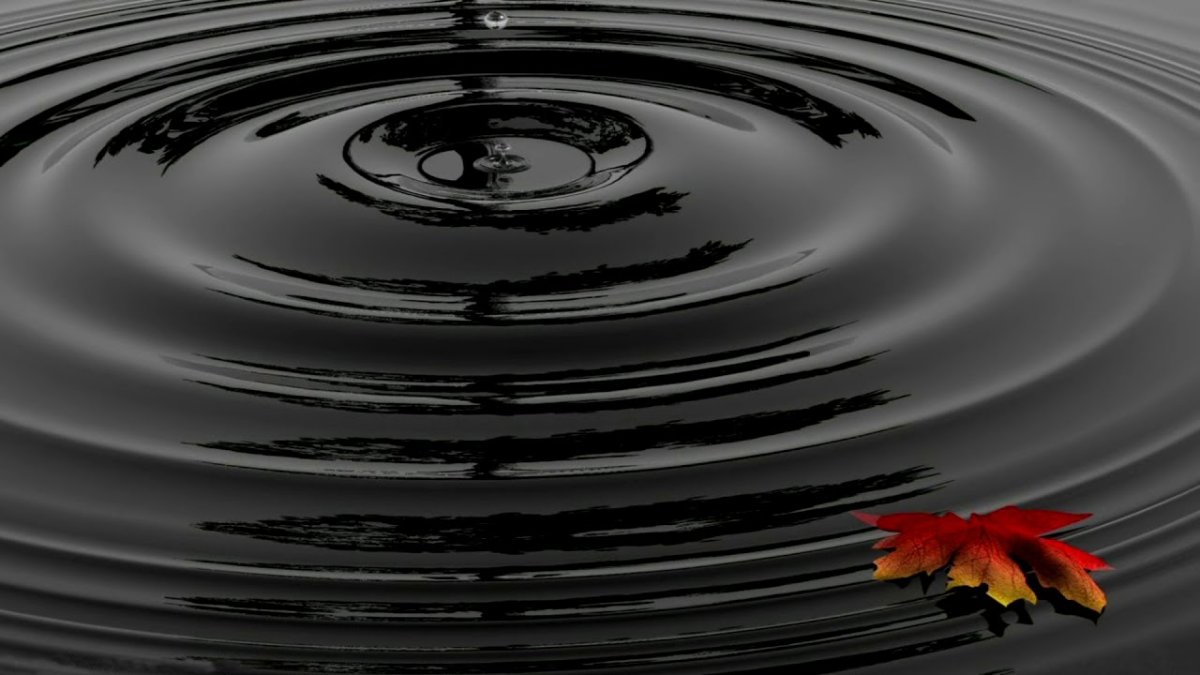 Круг воды в природе