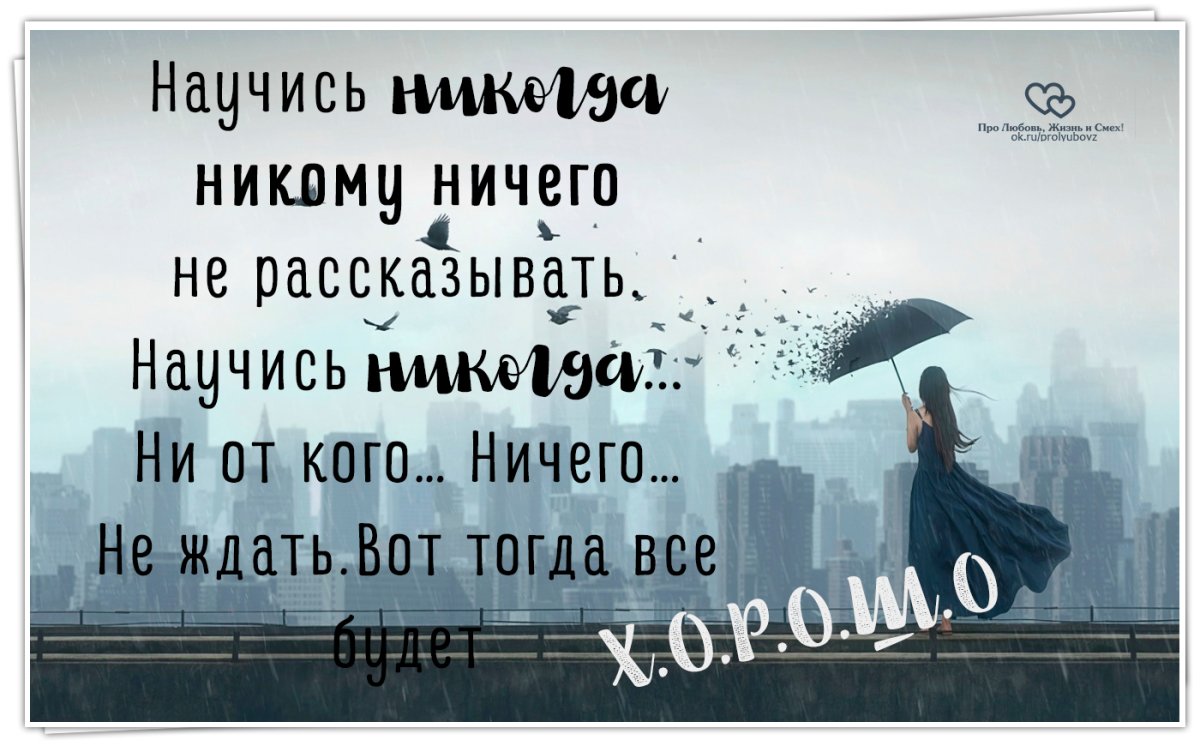 Лучшие цитаты