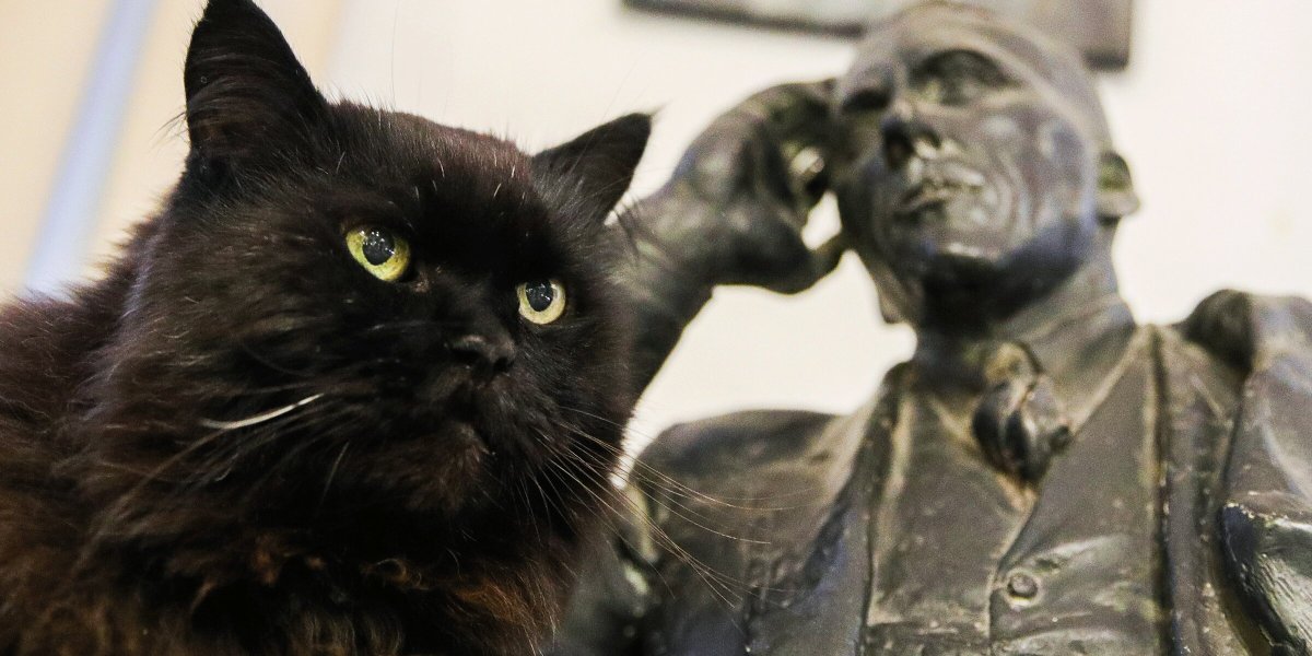 Кот Бегемот вектор